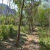 Land for Sale 8800 sq.m, Ao Nang