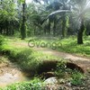 Land for Sale 11600 sq.m, Ao Nang