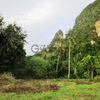 Land for Sale 2880 sq.m, Klong Son