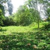 Land for Sale 1032 sq.m, Chong Plee