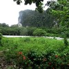 Land for Sale 3986 sq.m, Ao Nang