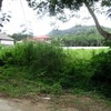 Land for Sale 3986 sq.m, Ao Nang