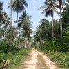 Land for Sale 73600 sq.m