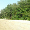Land for Sale 43200 sq.m