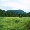 Land for Sale 19200 sq.m