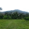 Land for Sale 5200 sq.m, Ao Nang