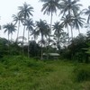 Land for Sale 5200 sq.m, Ao Nang