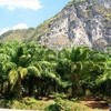 Land for Sale 6084 sq.m, Ding Daeng 1