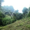 Land for Sale 4800 sq.m, Ao Nammao