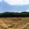 Cliff View Land for Sale 5916 sq.m, Nong Thale