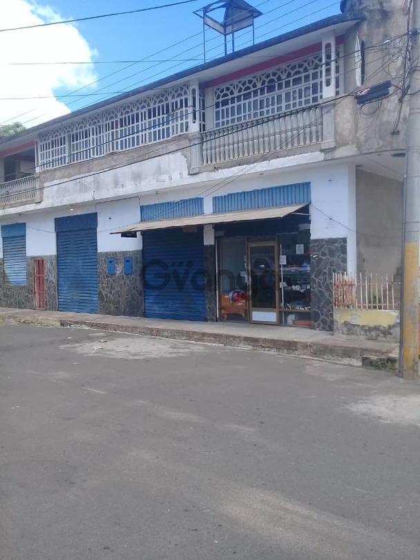 515306_se-vende-dos-casas-con-locales-comerciales.jpg