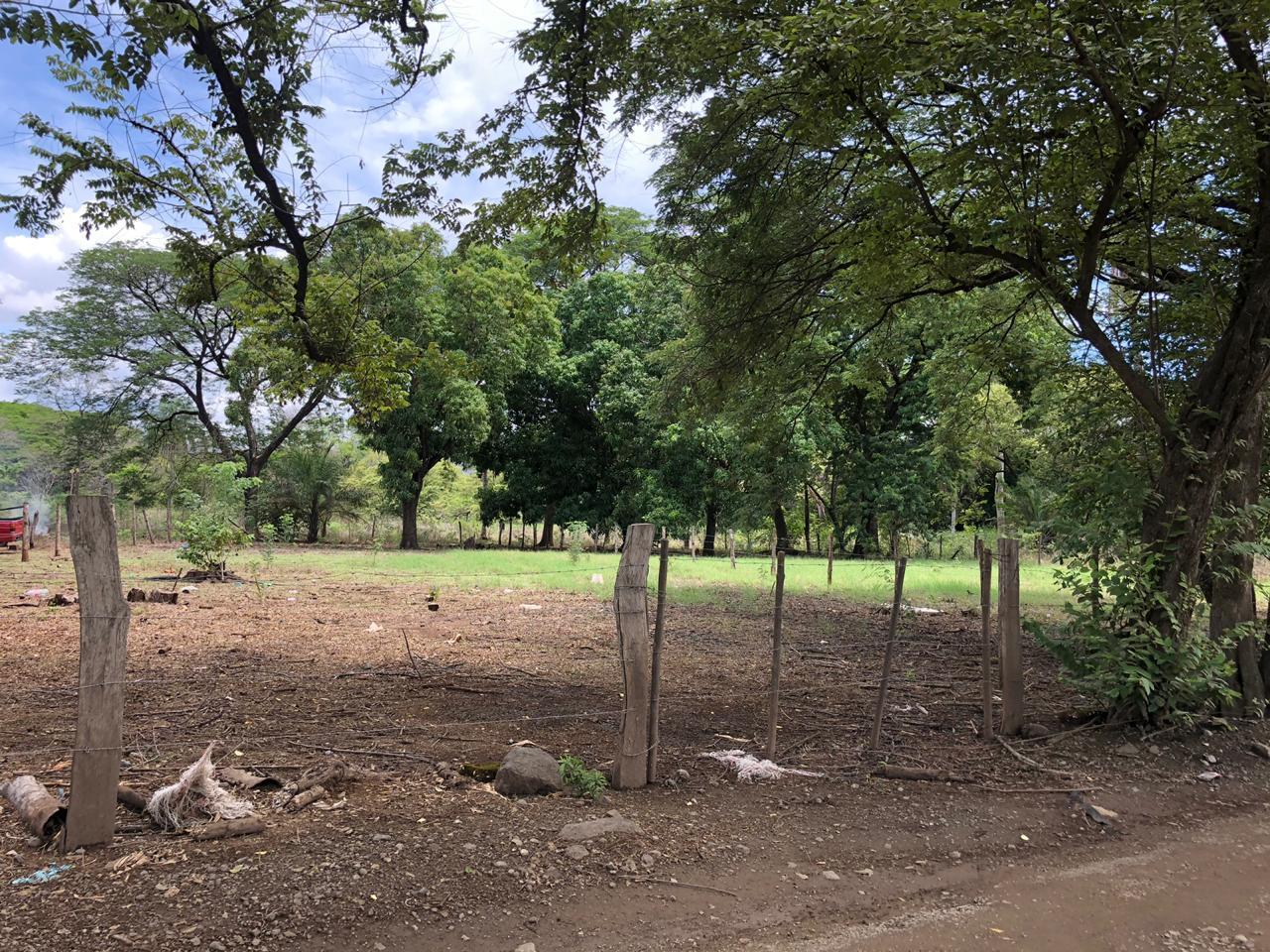 528016_se-vende-finca-en-santa-cruz-guanacaste.jpeg