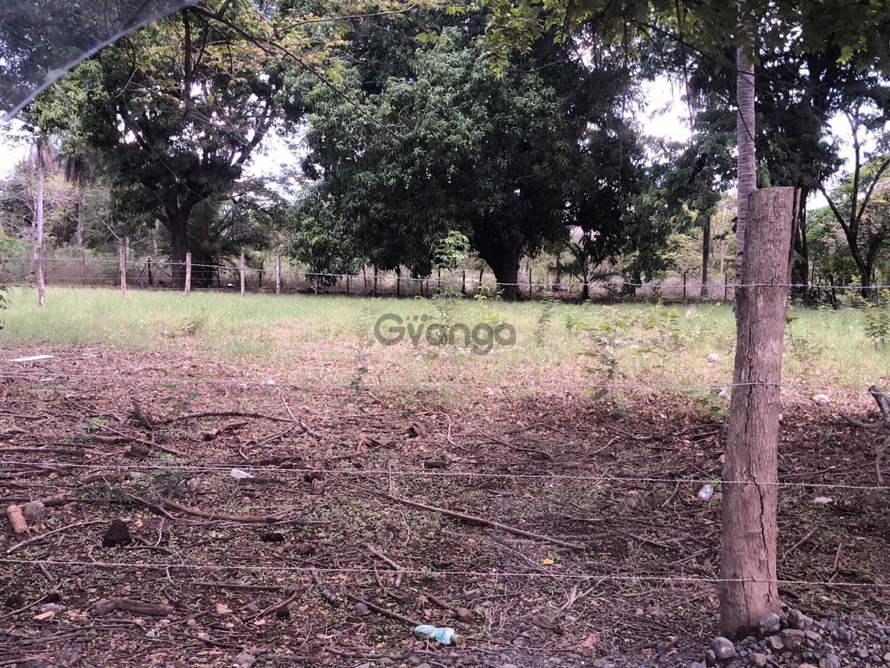 528018_se-vende-finca-en-santa-cruz-guanacaste.jpeg