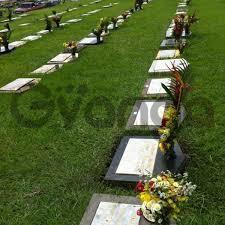 533284_parcela-cementerio.jpg