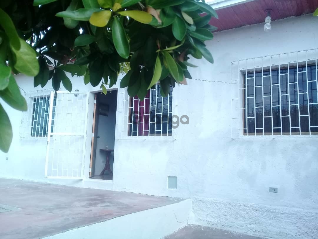 536954_casa-en-vena-yare.jpeg