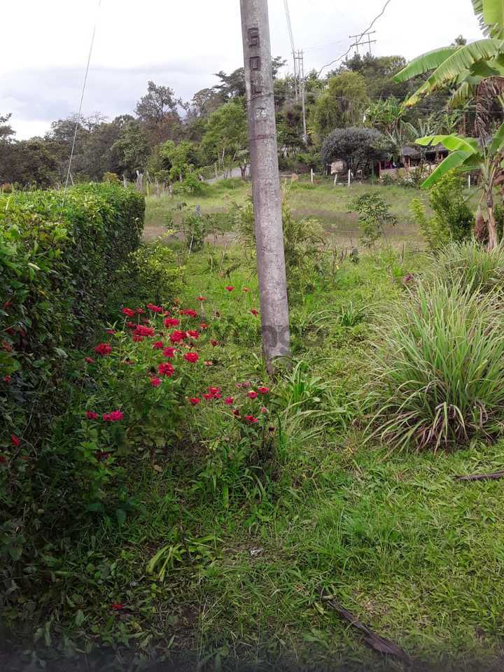 542301_se-vende-o-permuta-finca.jpg