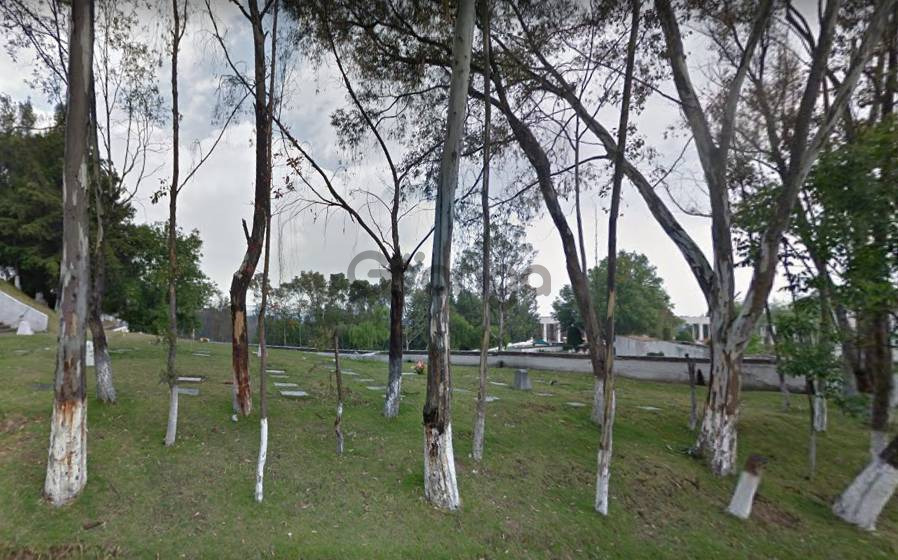 732807_jardin-cedros-ram-los-cipreses-fosa-cuadruple-servicios.jpg