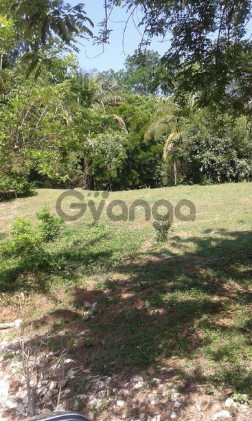 738341_propiedad-en-venta-en-matapalo-de-quepos.jpeg