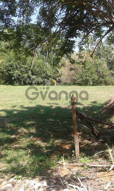 738342_propiedad-en-venta-en-matapalo-de-quepos.jpeg