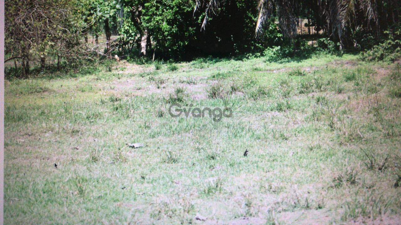 738343_propiedad-en-venta-en-matapalo-de-quepos.jpeg