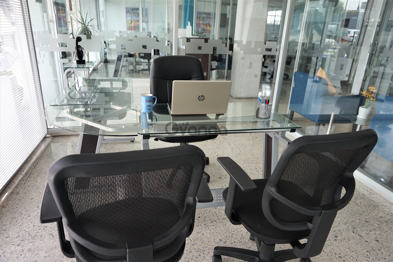 742134_oficina-virtual-en-naucalpan-proyecta-profesionalismo-desde-el-primer-dia.jpg