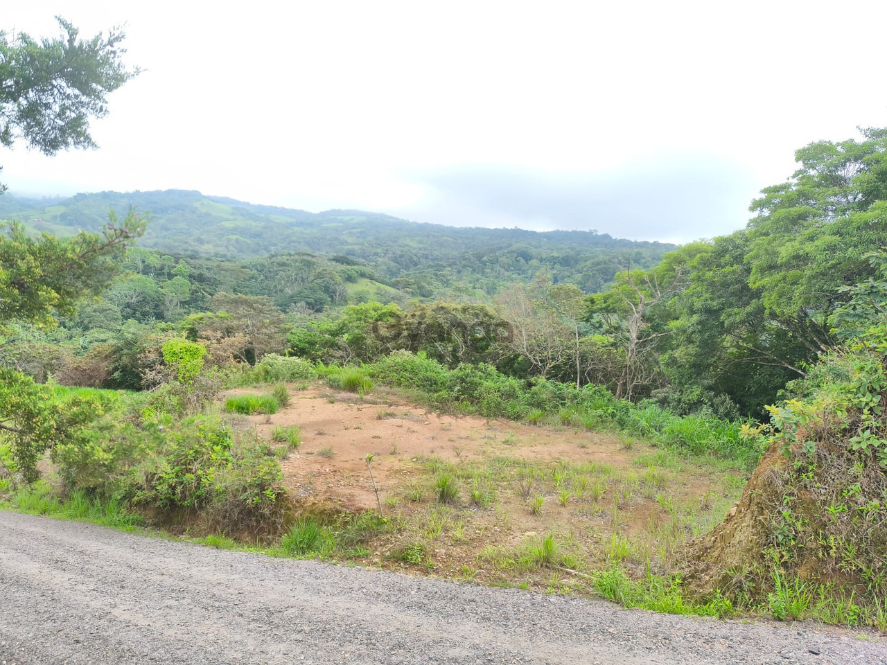 742673_tu-oasis-privado-te-espera-en-el-campo-san-francisco-de-san-ramon.jpg