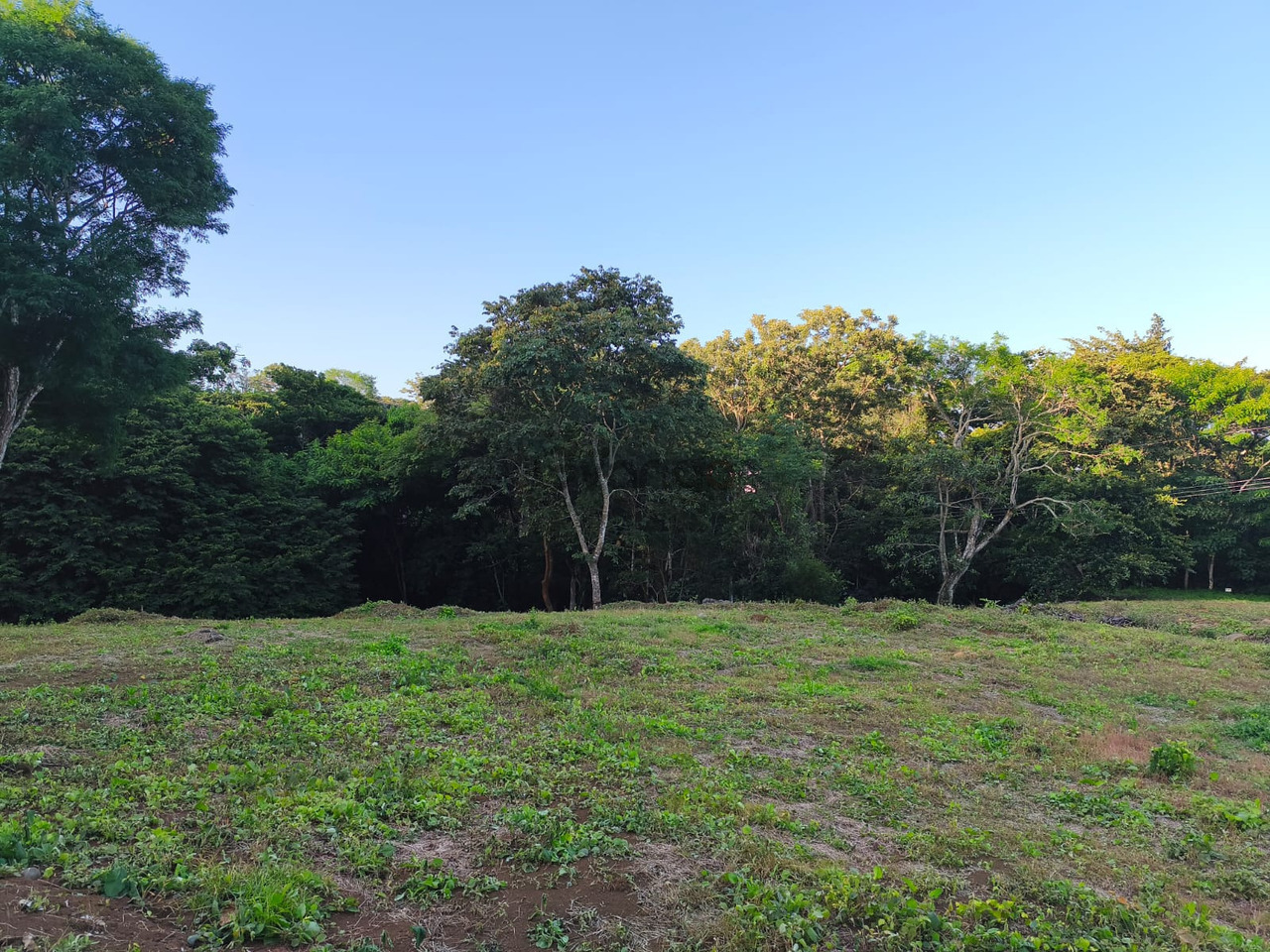 742806_suenas-con-un-santuario-personal-donde-la-naturaleza-y-la-comodidad-se-fusionan.jpg