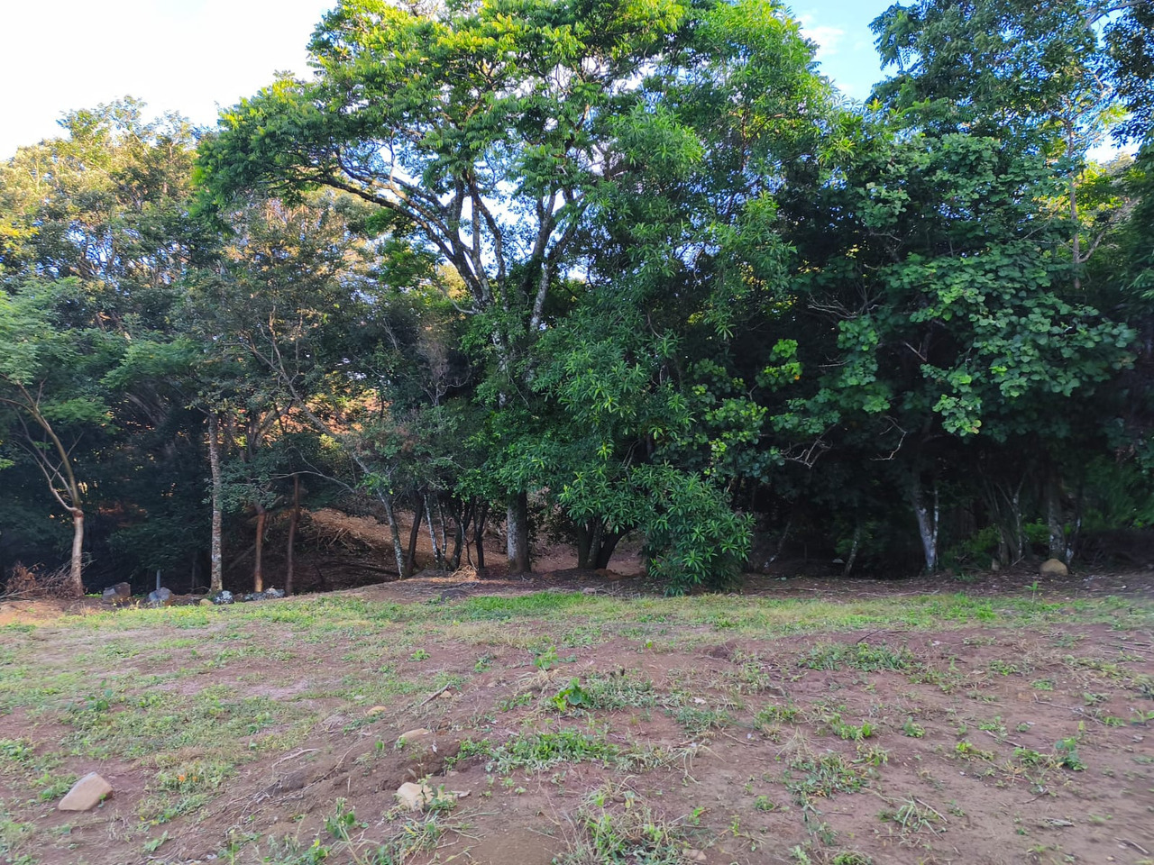 742808_suenas-con-un-santuario-personal-donde-la-naturaleza-y-la-comodidad-se-fusionan.jpg