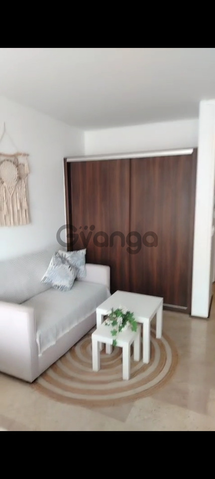 742940_estudio-amueblado-playa-del-carmen.jpg