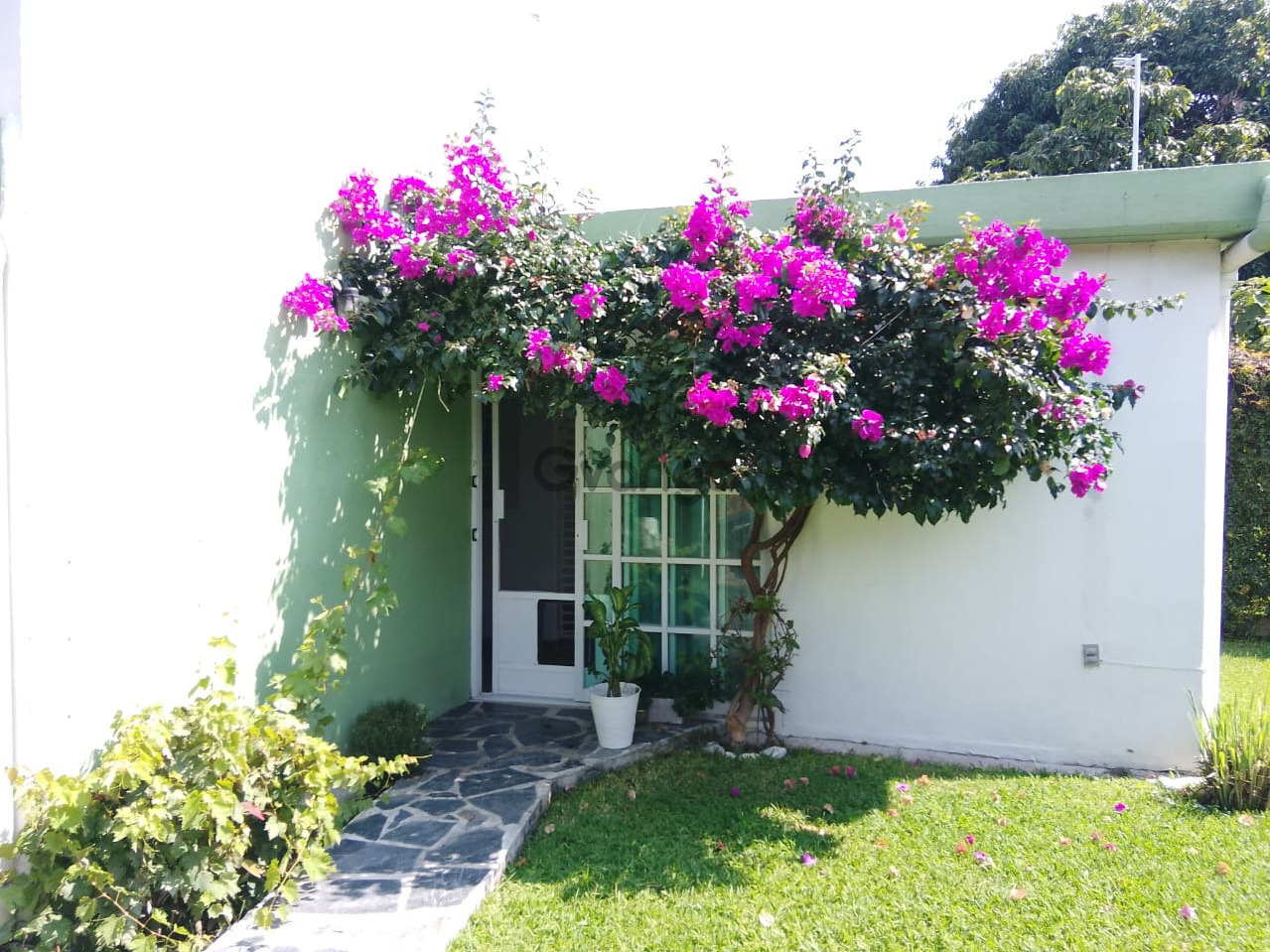 744713_vendo-casa-en-cuautla.jpg