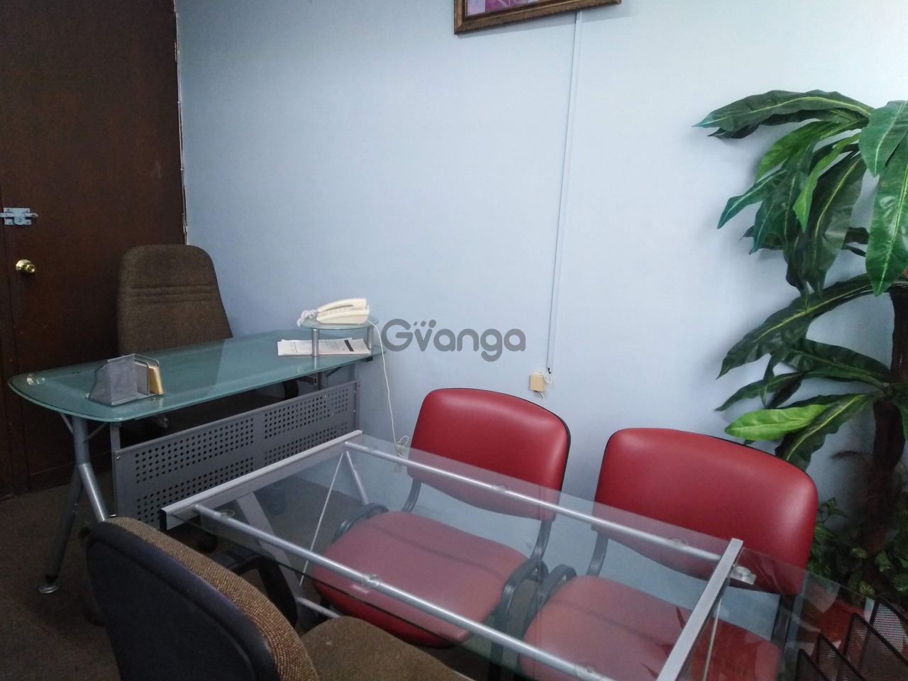 745232_todos-los-servicios-sucursal-tlalnepantla.jpg