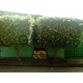 alquiler cuarto con baño entrada independiente Jinotepe - Carazo