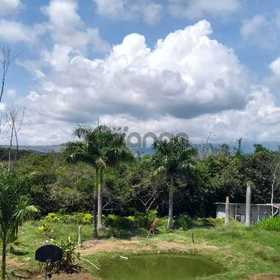 Alquilo casa y lote en jamundi para uso comercial