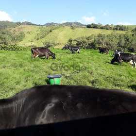 Finca de 13 cuadras apta para actividades agropecuarias