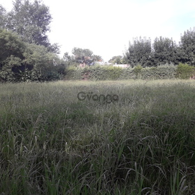 Hermoso lote a una cuadra de ruta 9