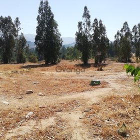 Parcela 6600 m2 urbanizada