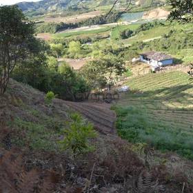 venta de terreno entre Marinilla y el Peñol Antioquia