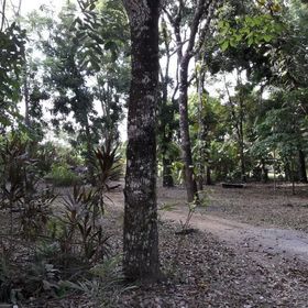 Casa Se Vende Zancudo Punatrenas