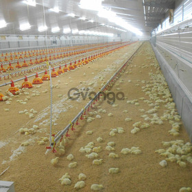 fabrica de galpones para empresas avicolas