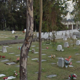 Los Cipreses fosa cuádruple Jardín Cedros GI