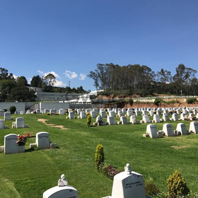 Cuádruple privadas Los Cipreses Jardín Sauces JAD