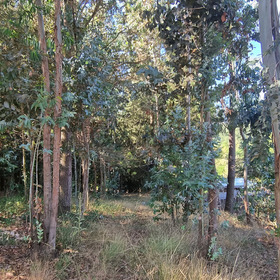 Parcela de 5.000 mts 2 con casa inteligente de 92 mt2