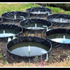 Venta de tanques en geomembrana para cría  de cachama y tilapia