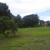 Vendo terreno cerquita del parque en San Juan Sacatepequez.