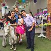 Renta Caballitos Ponys para los Mejores Eventos en Aguascalientes