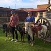 Renta Caballitos Ponys para los Mejores Eventos en Aguascalientes