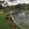 Finca En Venta // Rincon De Yuboa, Monseñor Nouel 2