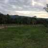 reserva Walandu 2