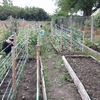Venta Chacta 2 hectareas Gualeguaychu Excelente Ubicación 3