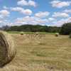 Venta Chacta 2 hectareas Gualeguaychu Excelente Ubicación 4